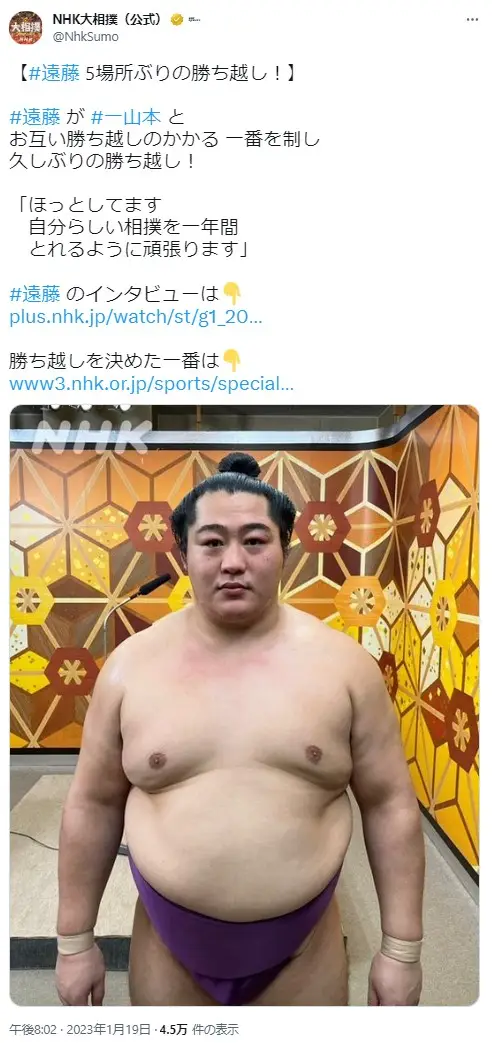 ☆大相撲 B2ポスター☆ 遠藤関 阿炎関 ☆スポーツ - www.sl1.ge