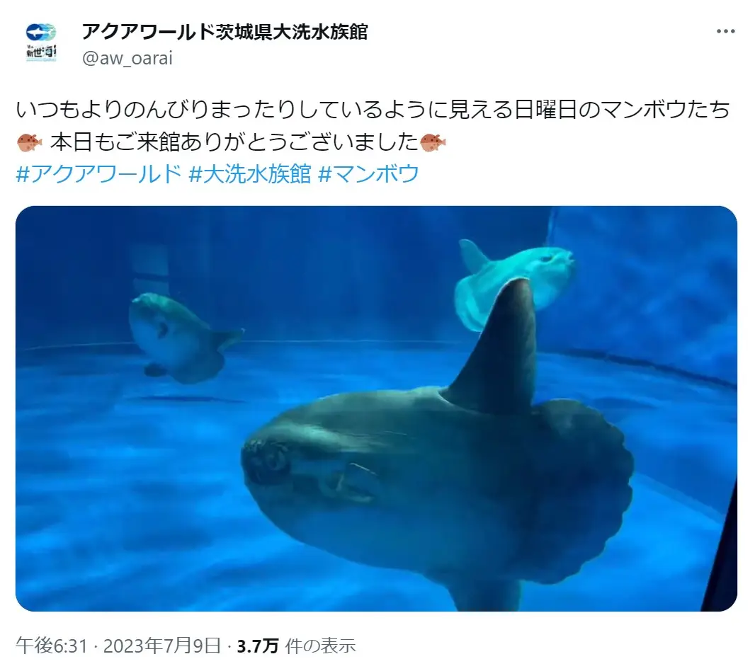 第6位：アクアワールド 茨城県大洗水族館（茨城県）（589票）