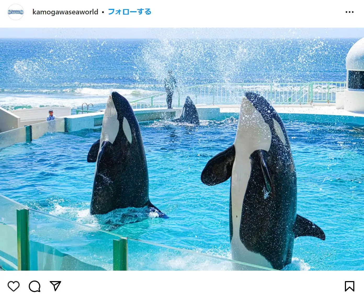 Instagram（@kamogawaseaworld）