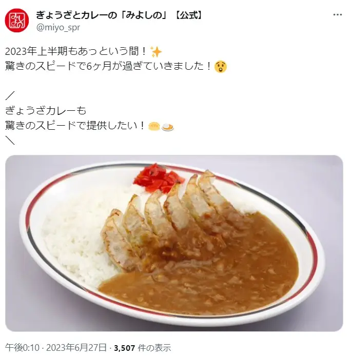 第10位：ぎょうざカレー（みよしの）（505票）