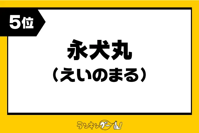 第5位：永犬丸（えいのまる）（610票）