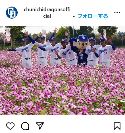 Instagram（@chunichidragonsofficial）