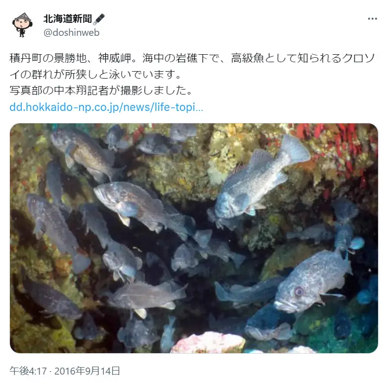 第3位：アジやタイはレアな魚（北海道でとれない・あまり食べない）（630票）