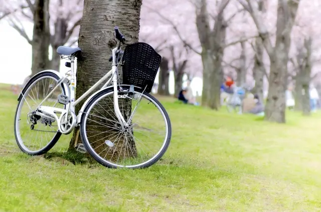 第3位：ケッタ（自転車）（660票）