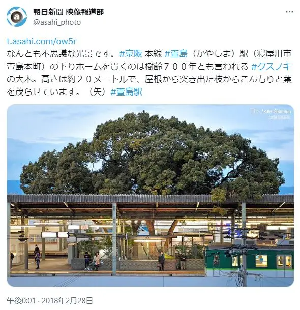 第10位：巨大なクスノキが駅の屋根を貫く「萱島駅」／大阪府（527票）