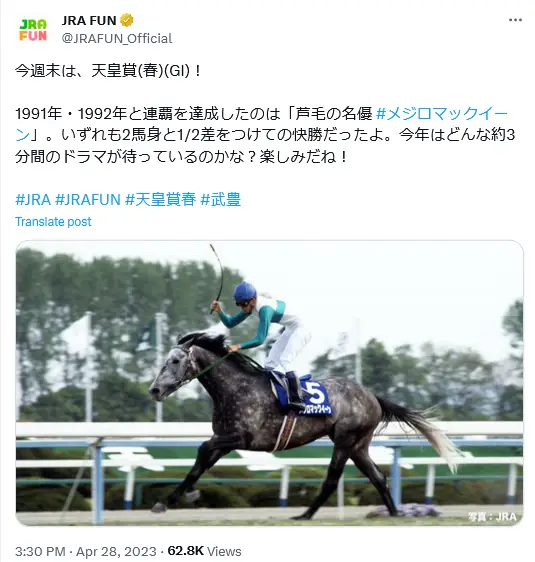 第4位：メジロマックイーン（270票）