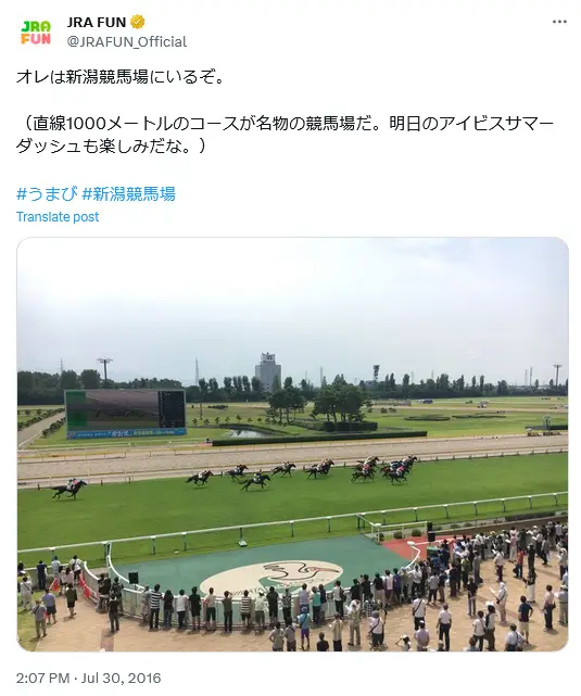 第10位：新潟競馬場（新潟）（287票）