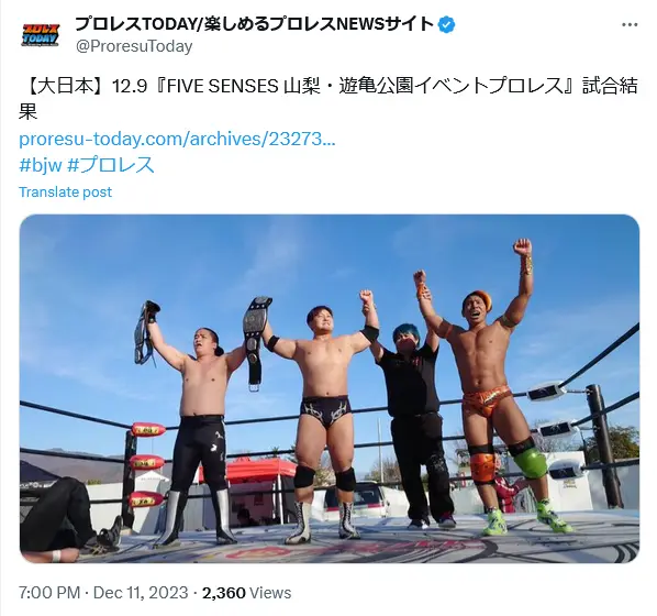 第10位：大日本プロレス（248票）