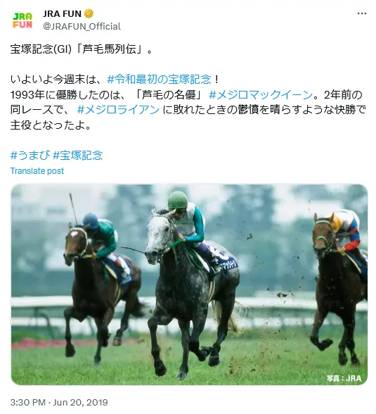 第2位：メジロマックイーン（576票）