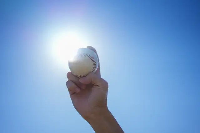 第7位：高校野球（2024年は8月7日（水）から17日間）（471票）