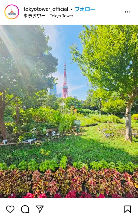 第4位：東京タワー（赤羽橋駅・芝公園駅）（206票）