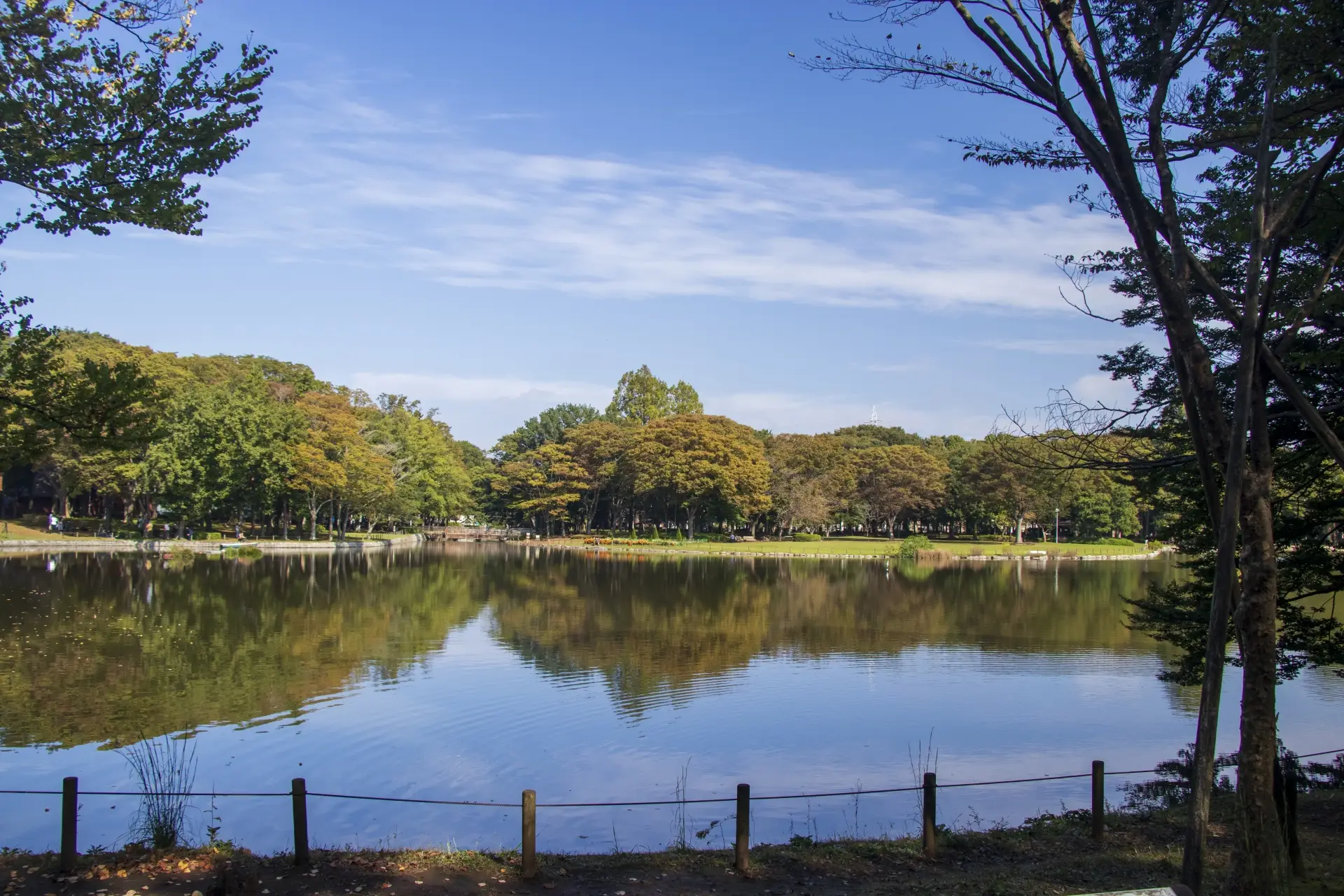 第15位：「池と沼の違いは？」（294票）