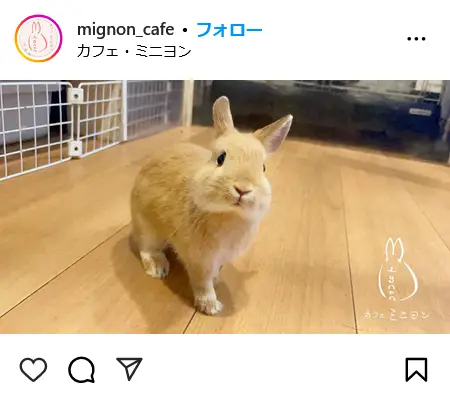 Instagram（@mignon_cafe）