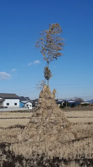 第1位：わーほい（小正月の伝統行事、どんど焼き）（1,128票）