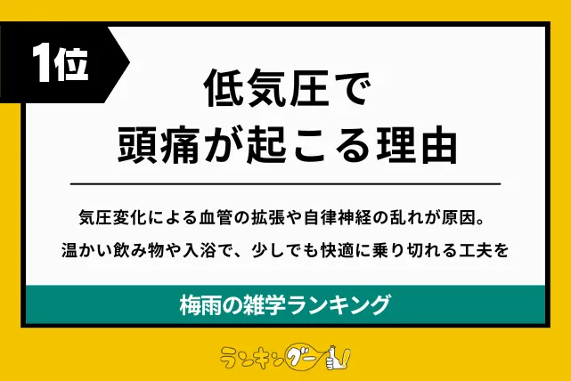 梅雨の雑学ランキング1位:低気圧で頭痛が起こる理由の画像