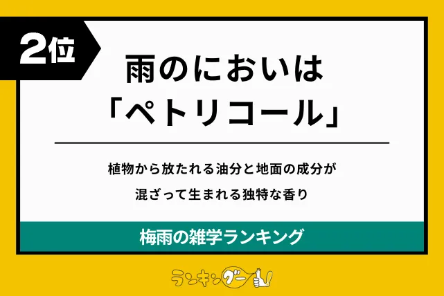 梅雨の雑学ランキング2位:雨のにおいは「ペトリコール」の画像