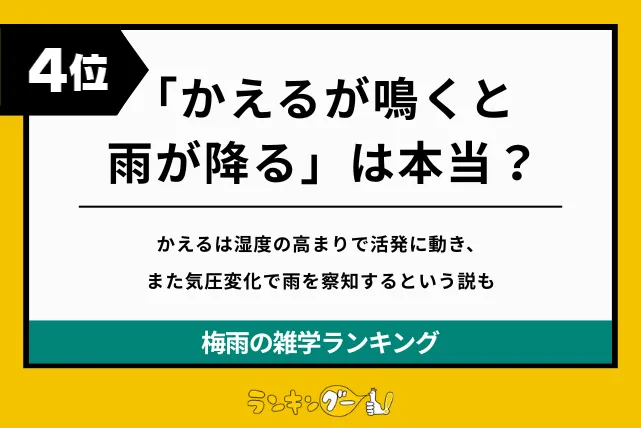 梅雨の雑学ランキング4位:「かえるが鳴くと雨が降る」は本当?の画像