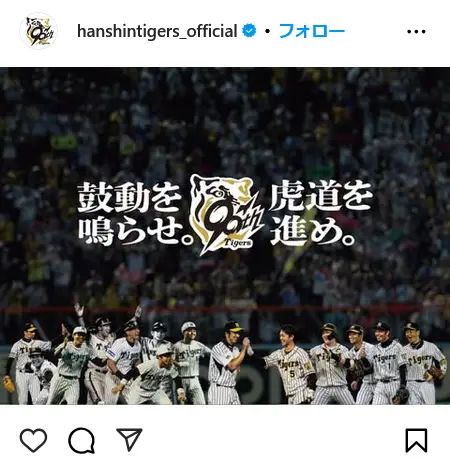第2位:阪神タイガース(1,119票)