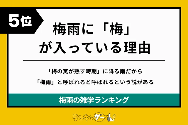 梅雨の雑学ランキング5位:梅雨に「梅」が入っている理由の画像