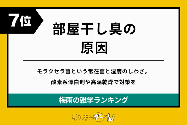 梅雨の雑学ランキング7位:部屋干し臭の原因の画像