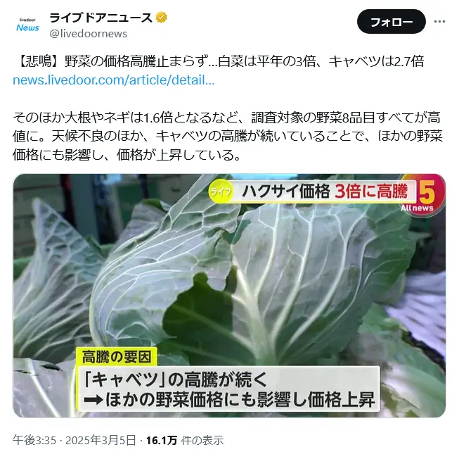 第2位:キャベツ(1,250票)