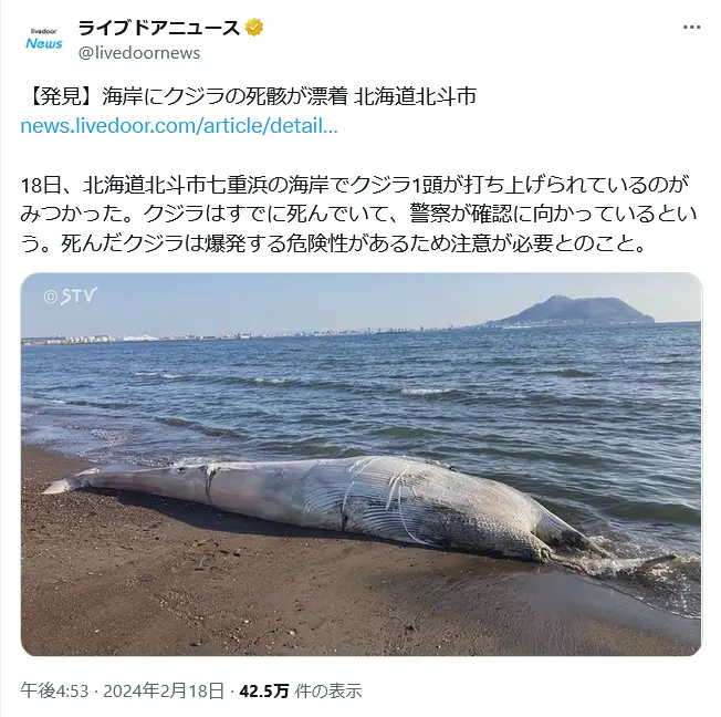 第17位:「クジラは死ぬとしばらくして爆発することがある」(231票)