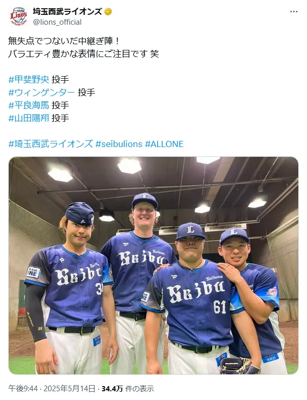 第5位:埼玉西武ライオンズ/伝統色「ライオンズブルー」をベースに、「Lions」のロゴが目立つシンプルなデザイン(591票)