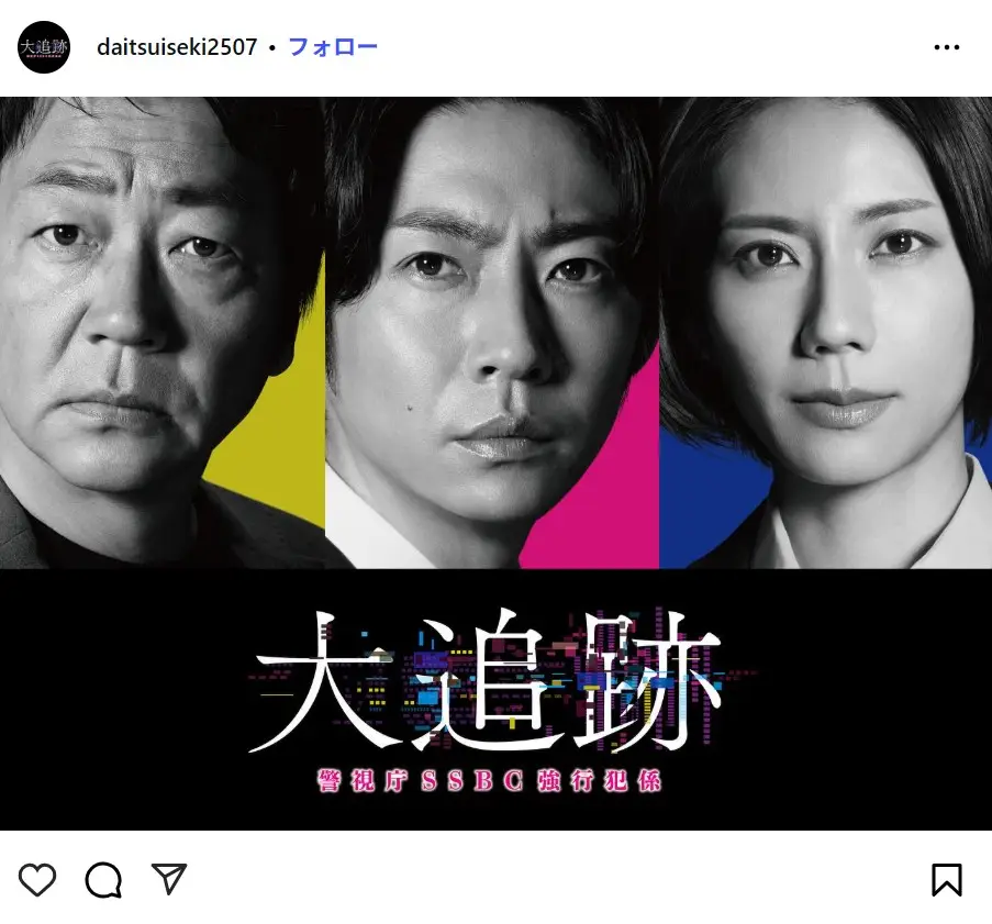 第10位：松下奈緒「大追跡～警視庁SSBC強行犯係～」（110票）
