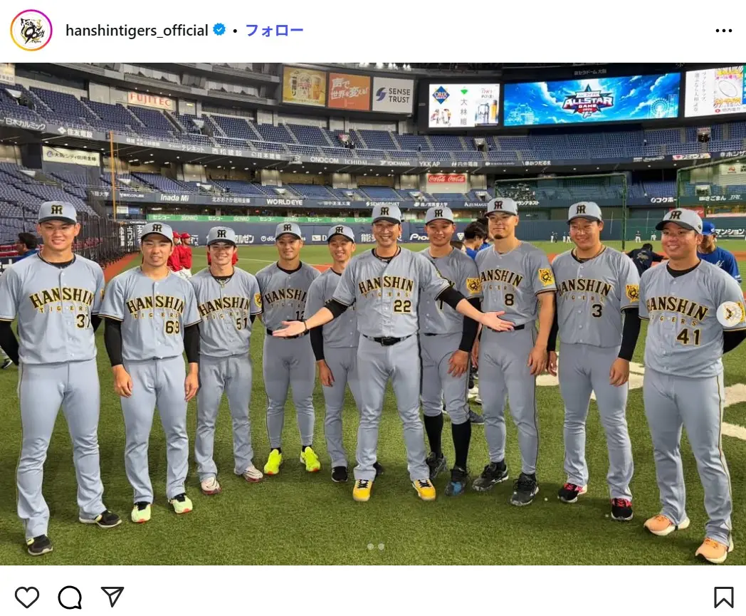 第1位:阪神タイガース(1,077票)