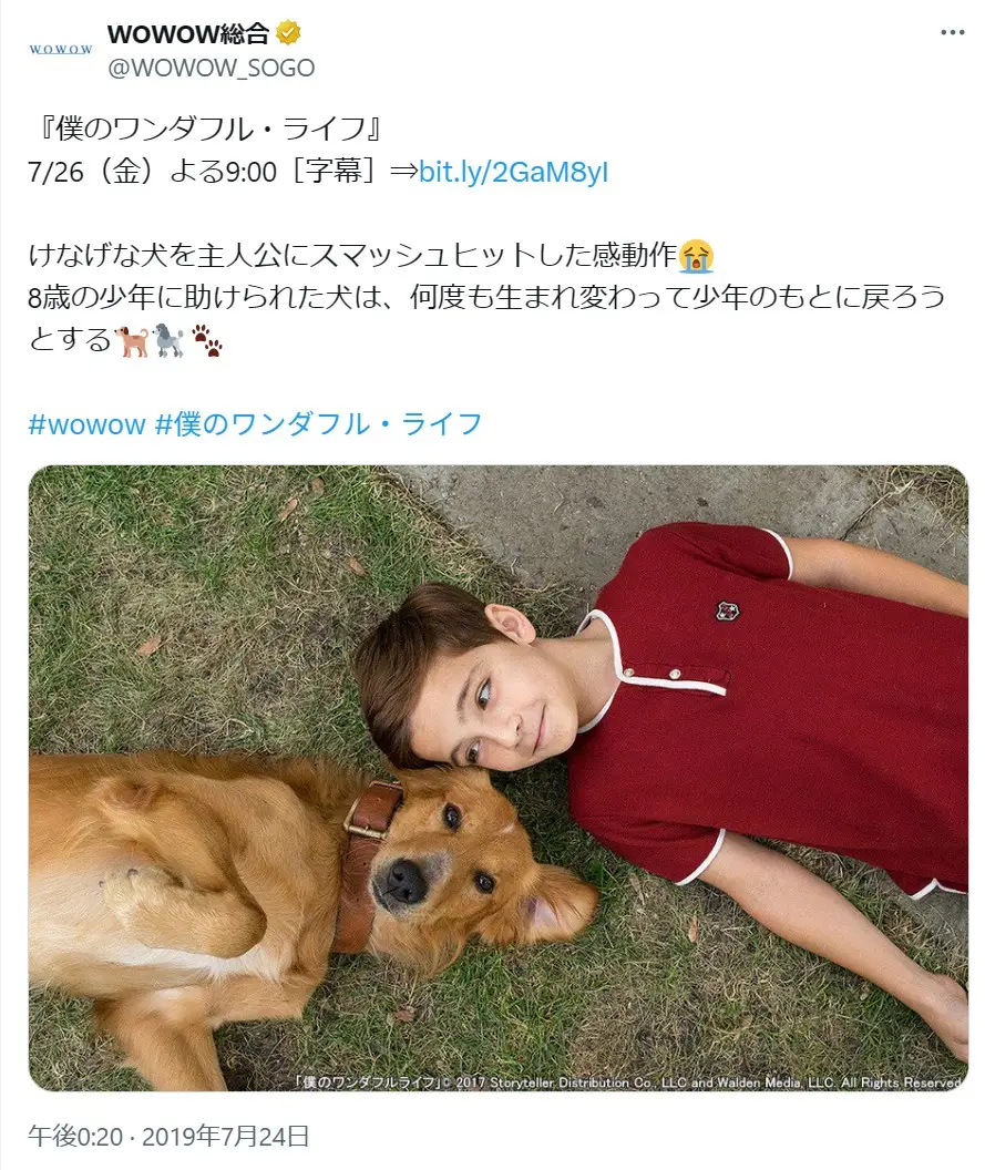 第17位:「僕のワンダフル・ライフ」(2017年)(94票)