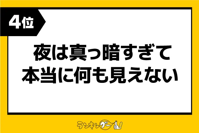 第4位：夜は真っ暗すぎて本当に何も見えない（219票）