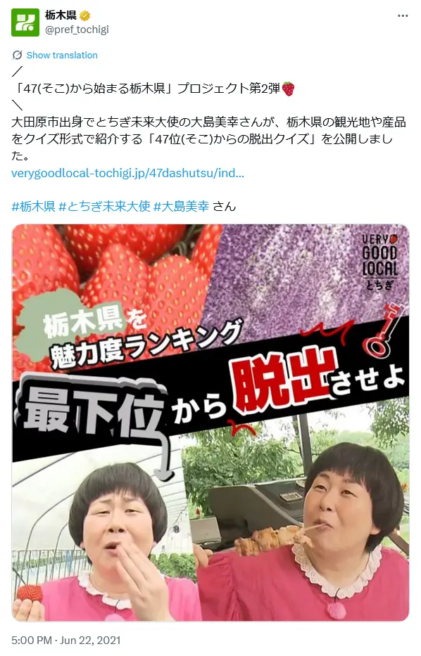 第9位:大島美幸(森三中)(241票)