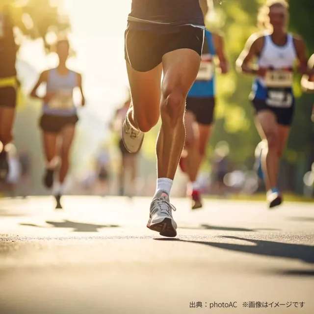 「箱根駅伝」の好きな強豪校ランキング【2026年の優勝校は？】