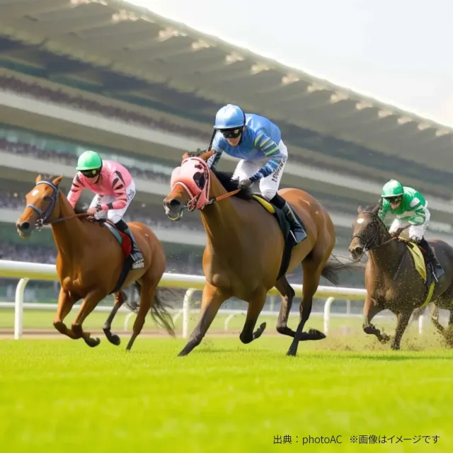 好きな「有馬記念」の優勝馬ランキング【2025年最新版】