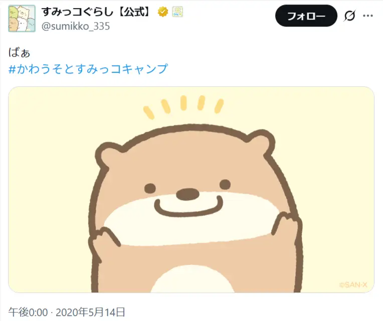 第11位：かわうそ（67票）