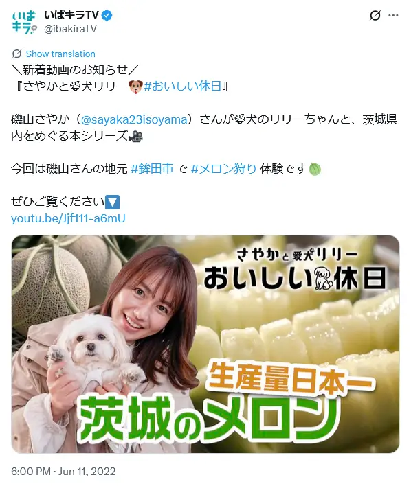 第2位：磯山さやか（338票）