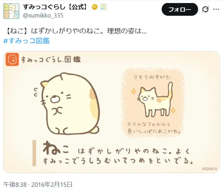 第2位：ねこ（100票）