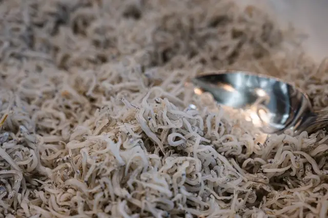 第13位：釜揚げしらす（115票）