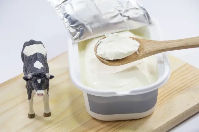 第15位：チーズ（クリームチーズやスモークチーズなど）（109票）