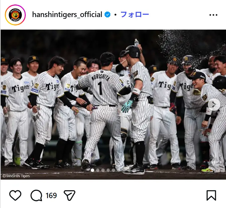 第1位：阪神タイガース（805票）