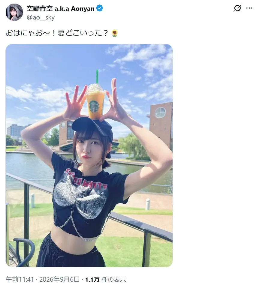 第6位:空野青空(238票)