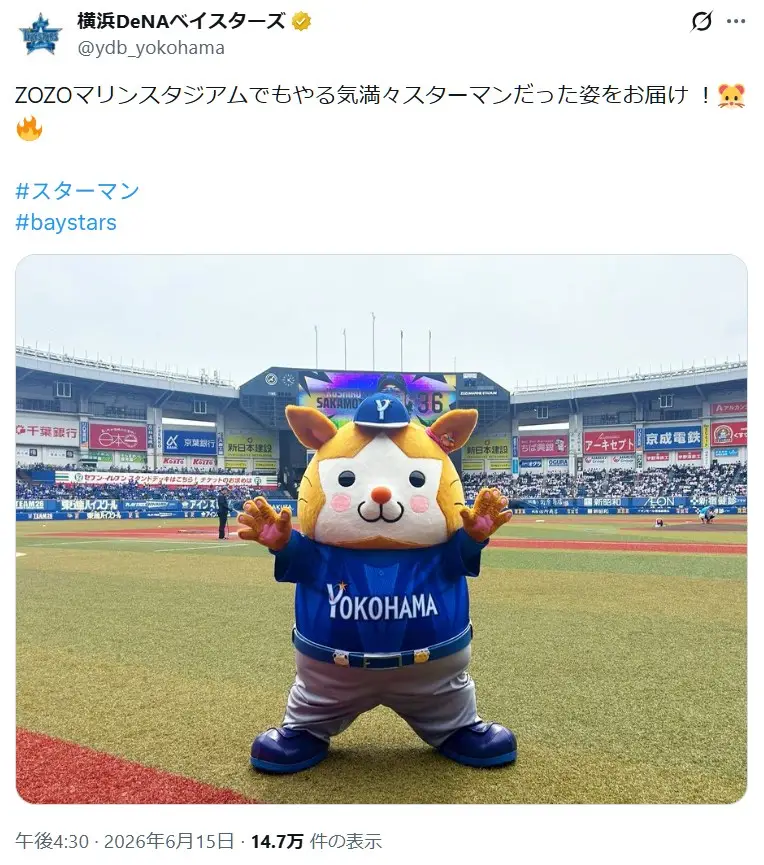 第9位:DB.スターマン(横浜DeNAベイスターズ)(196票)