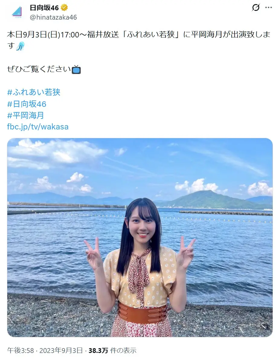 第3位:平岡海月(日向坂46)(217票)