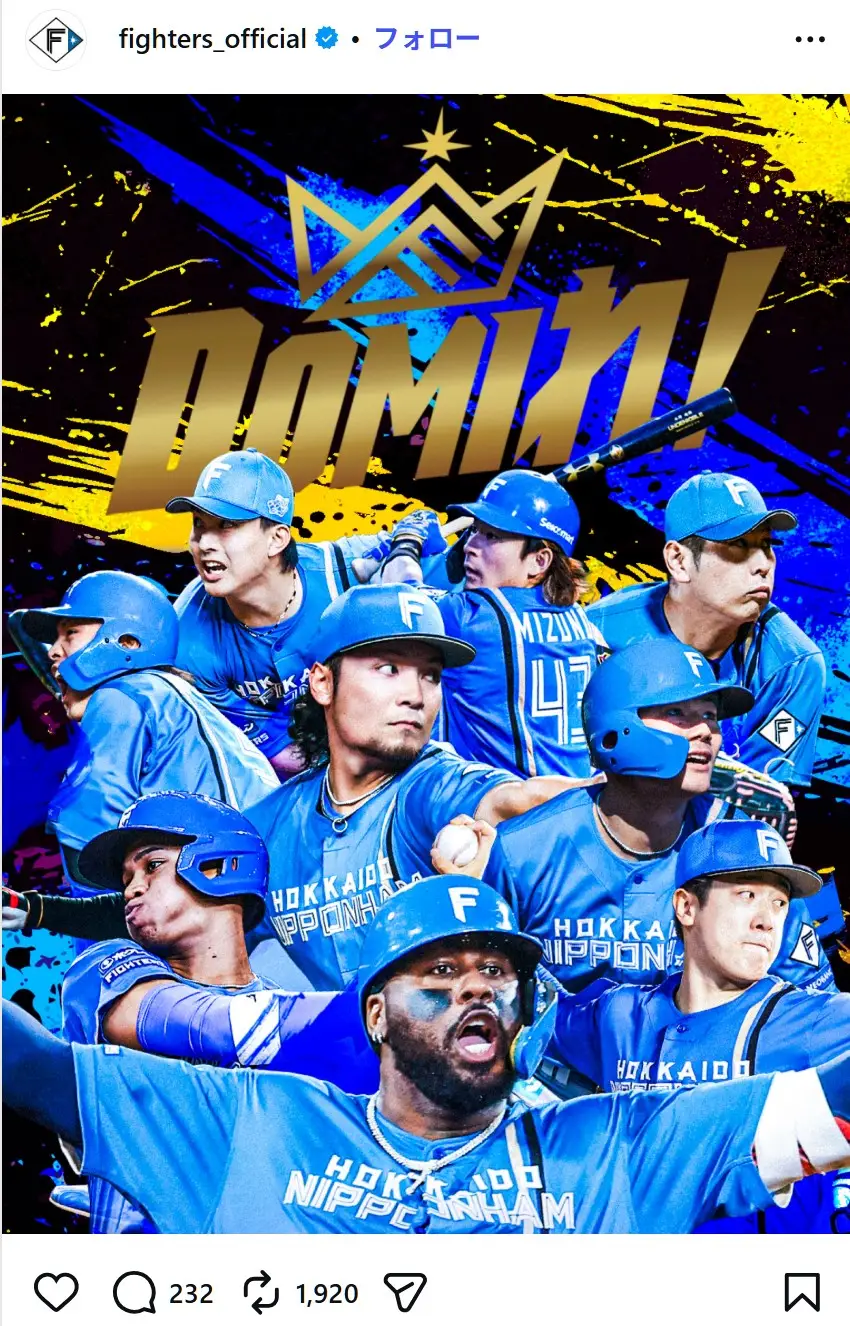 第3位：北海道日本ハムファイターズ（228票）