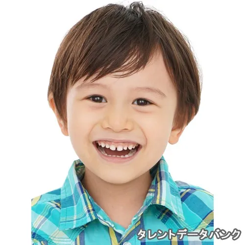 日向 椿 の写真