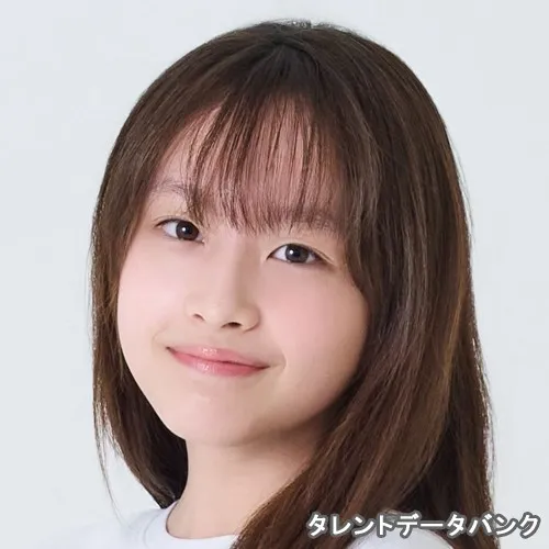 伶菜 の写真