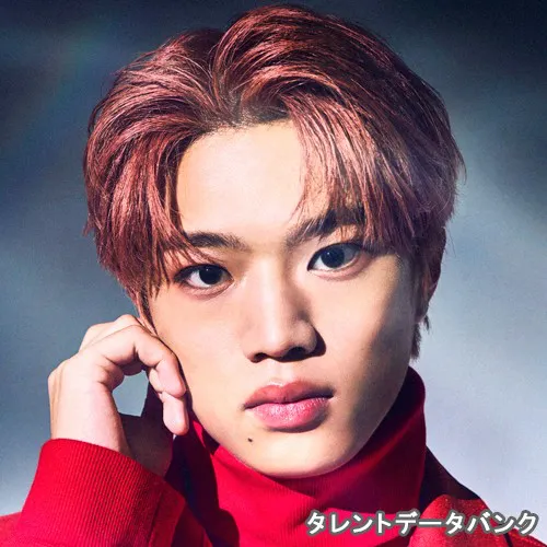 半田 龍臣の関連ランキング・プロフィール