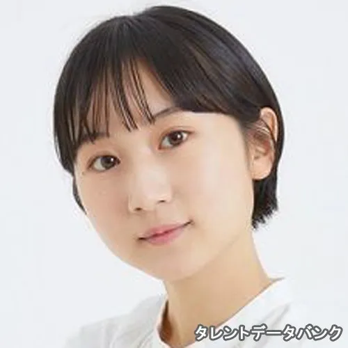 あこの関連ランキング・プロフィール