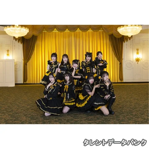 ロージークロニクル の写真